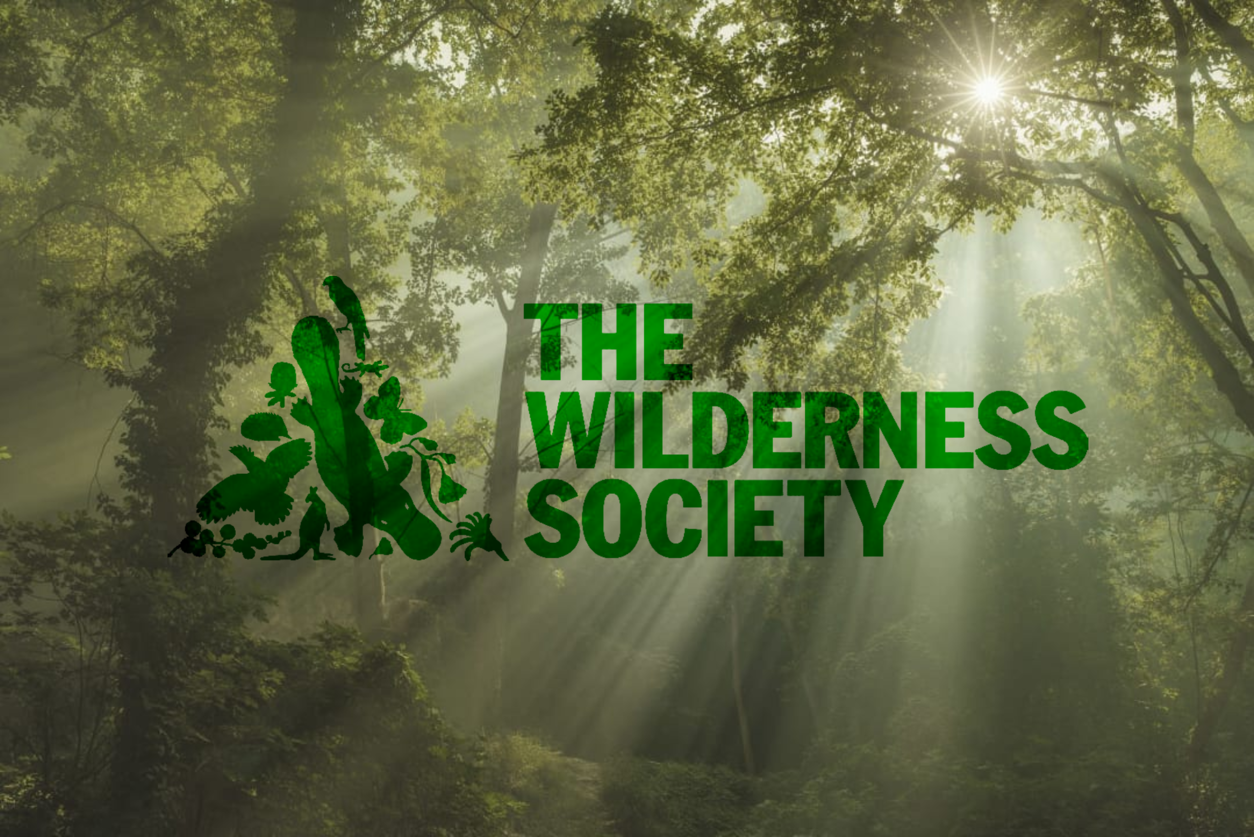 Wildeness Society